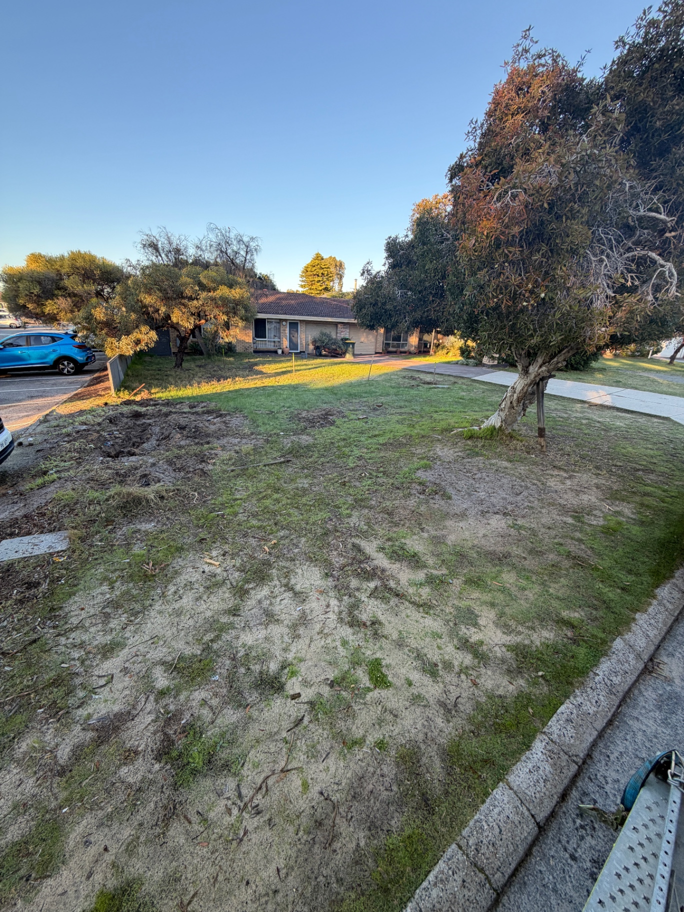 Front verge cleanup before