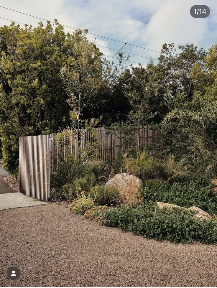 Native garden & street appeal