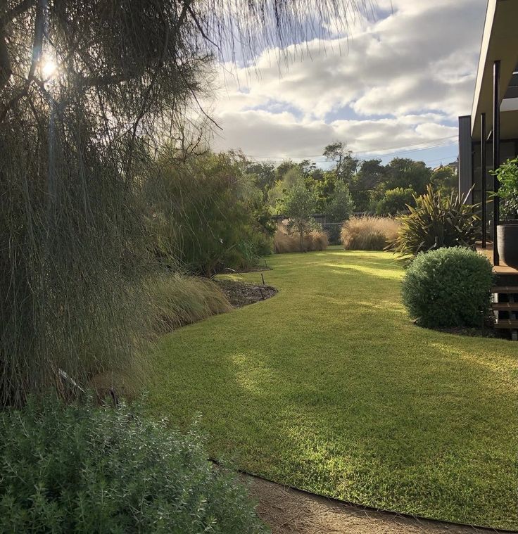 Backyard turf & garden beds