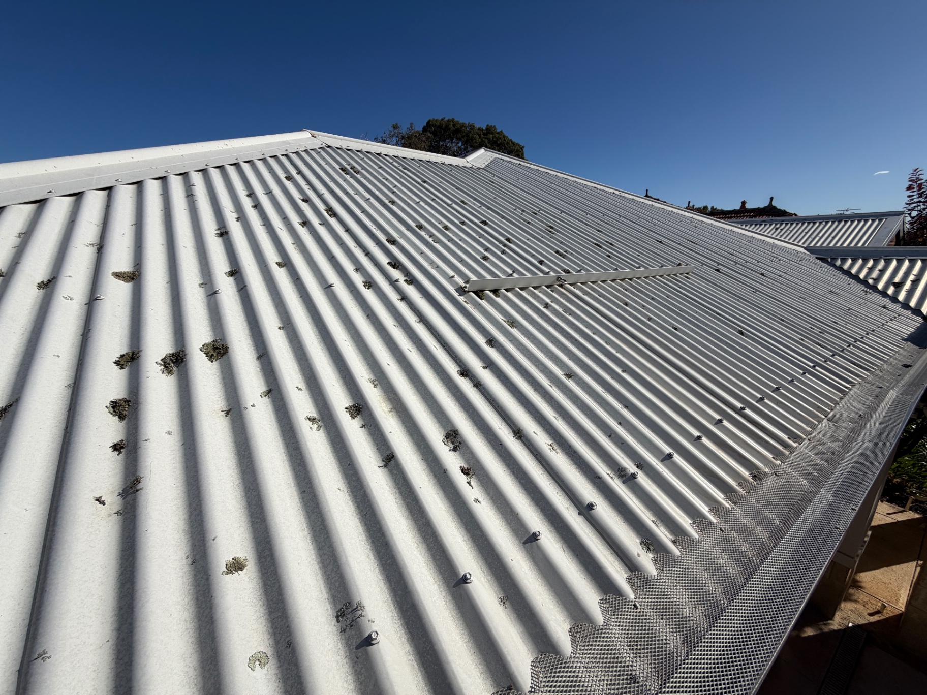Colorbond roof wash before