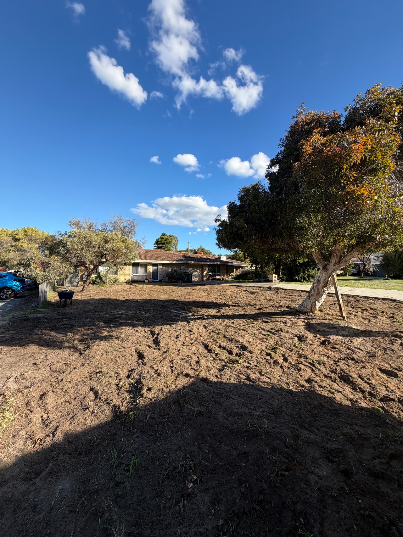 Front verge cleanup after